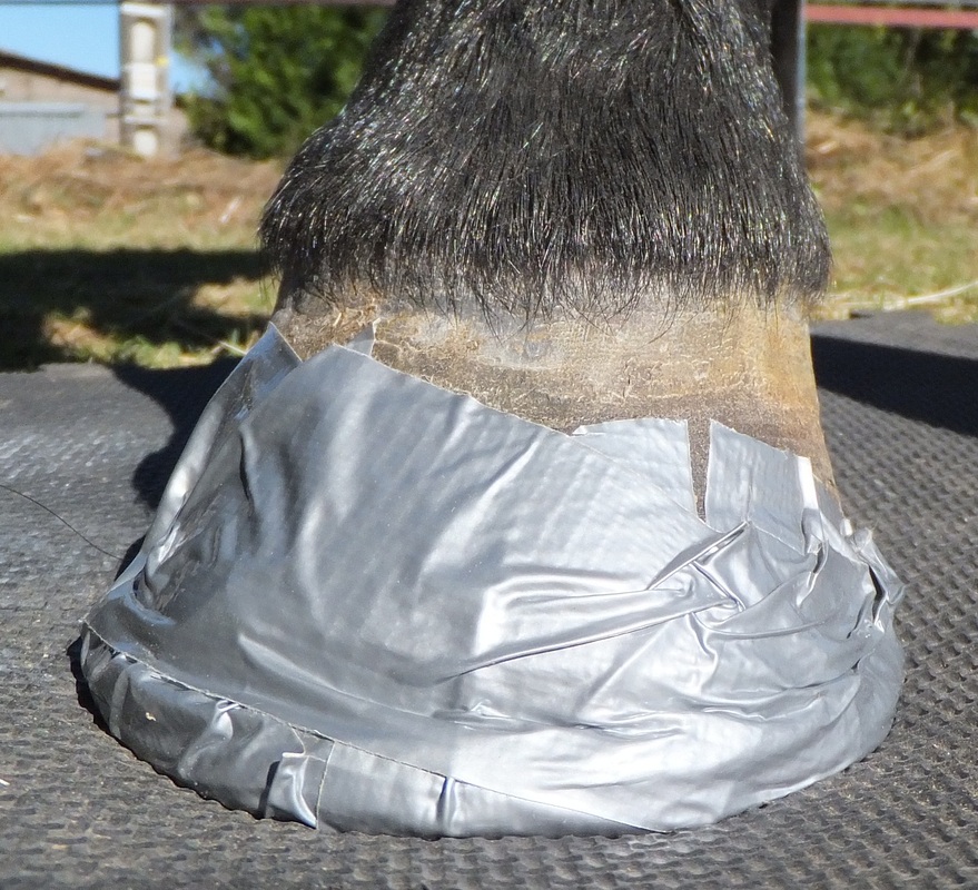 Buy hoof boots for laminitic pony cheap online